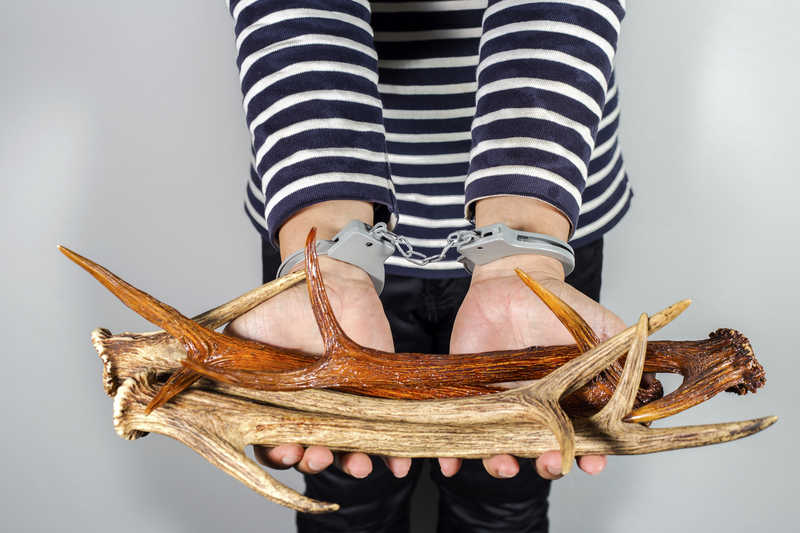 Creative Tips for Improving Recycling Habits at Work